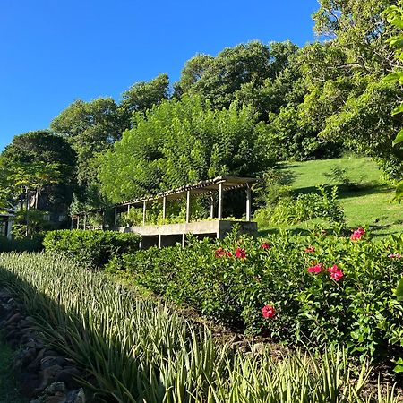 Crescent Beach Firefly Estate Bequia酒店 外观 照片