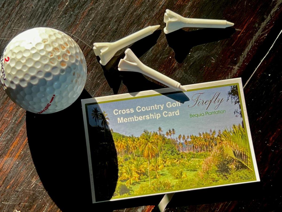 Crescent Beach Firefly Estate Bequia酒店 外观 照片